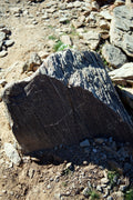 Desert Etchings — textured desert stone fine art photograph by BLEEZnPHOTOGRAPHY