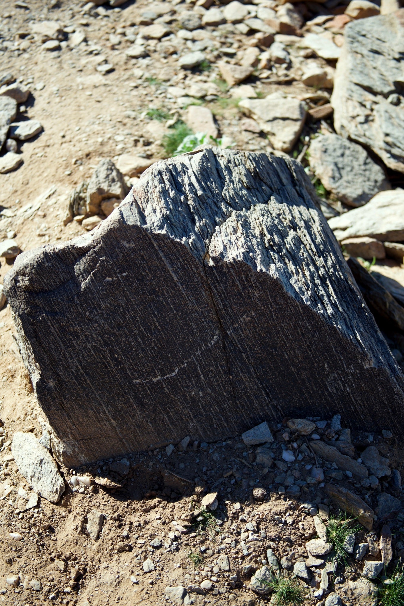 Desert Etchings — textured desert stone fine art photograph by BLEEZnPHOTOGRAPHY