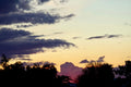 Desert Dusk — Arizona sunset with palm silhouettes by BLEEZnPHOTOGRAPHY